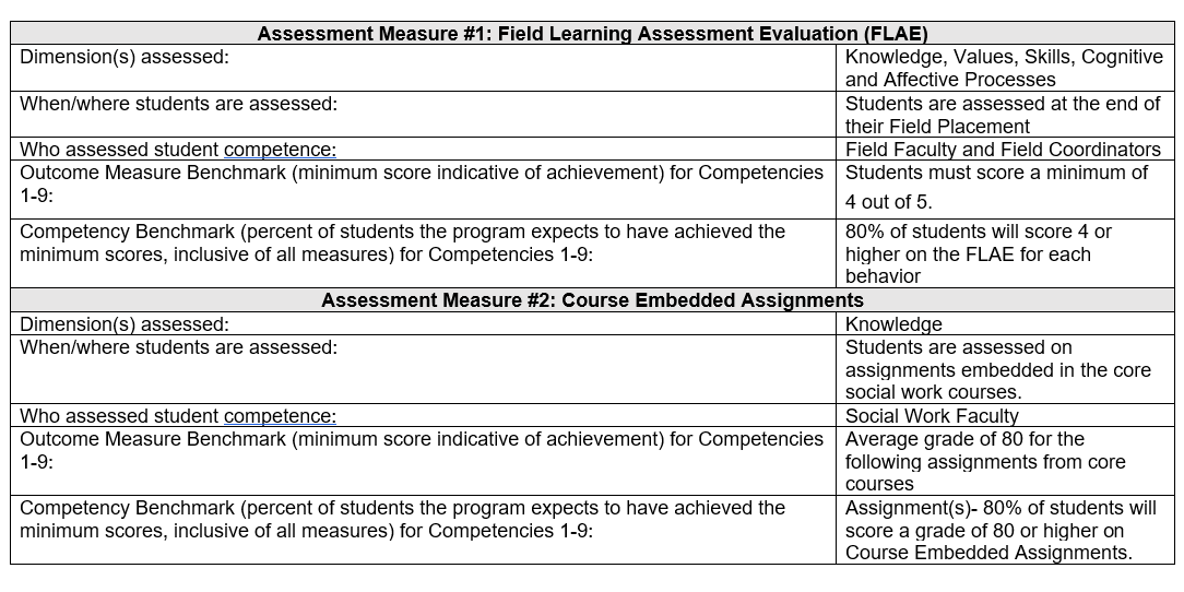 Assessment Measure 1 BSW